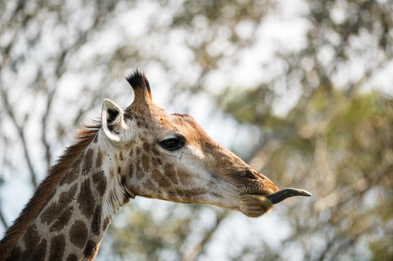 Nkuhlu Tented Camp Скукуза Экстерьер фото