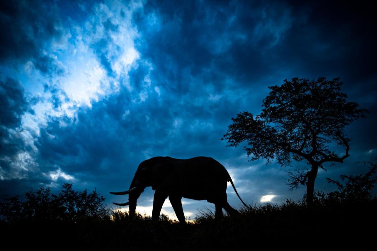 Nkuhlu Tented Camp Скукуза Экстерьер фото